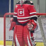 roden new pads